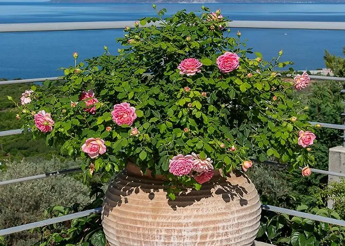 Magnolia-luxury With Stunning Sea View Вилла Epidaurus